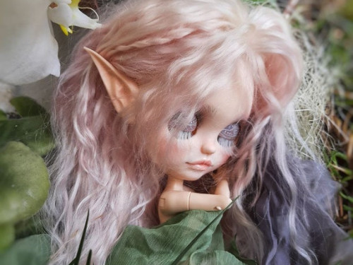 Blythe Art Doll Customised by LyriArtStudio